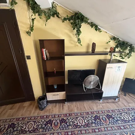 Attic * Варна