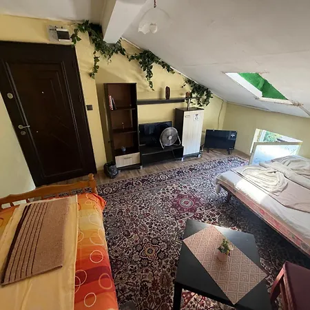 Attic Апартамент *